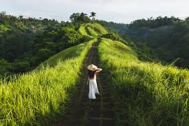 Bali Nature Beach Sunset